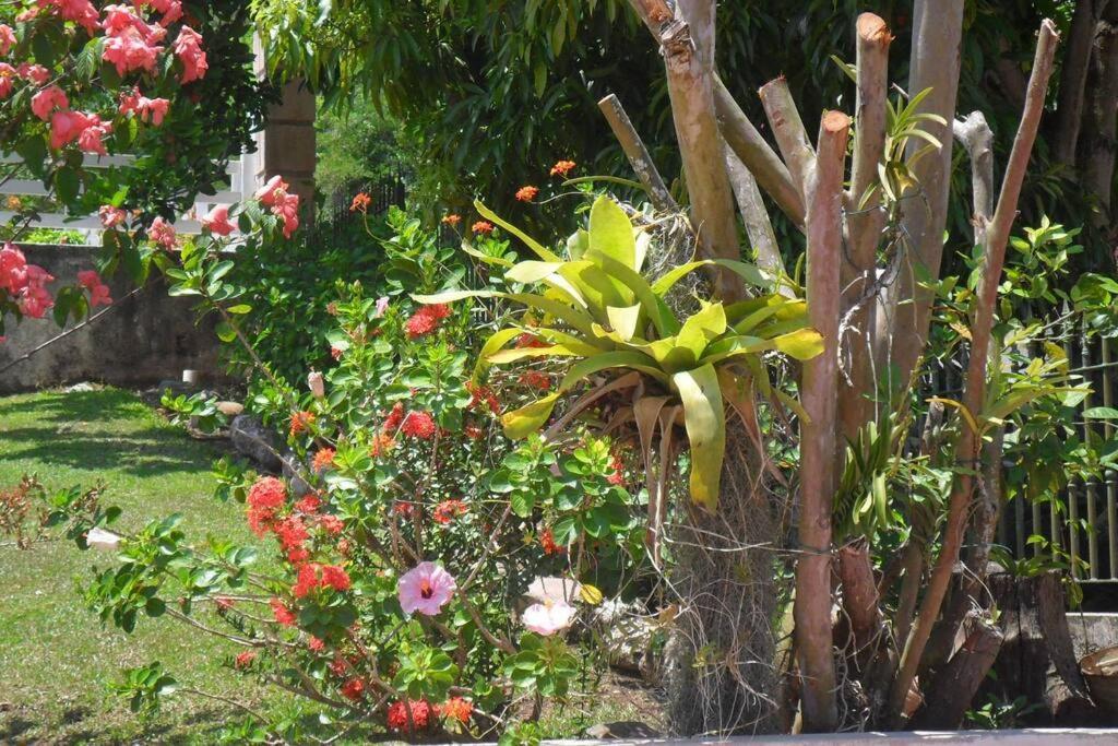 Idilio Escape Ocho Rios Exterior foto